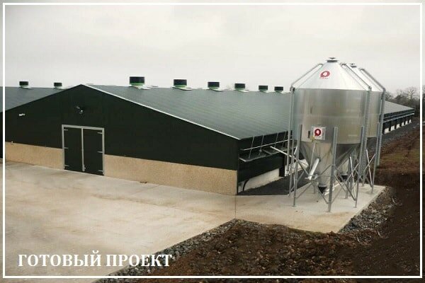 Этапы возведения птицефабрики от завода ВелесТент-плс